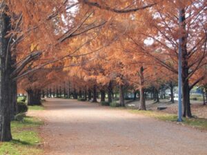 矢橋帰帆島公園